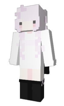 Minecraft skin nirt