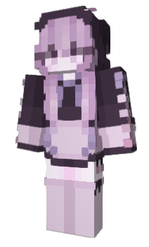 Minecraft skin connexcion