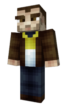 Minecraft skin Materias