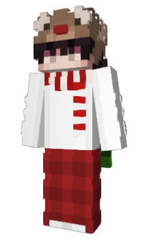 Minecraft skin NOTEpro
