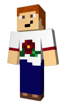 Minecraft skin Hizen