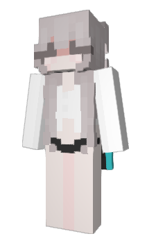 Minecraft skin Czerstvi