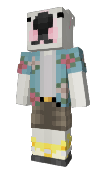 Minecraft skin Salv4