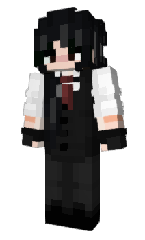 Minecraft skin Panele