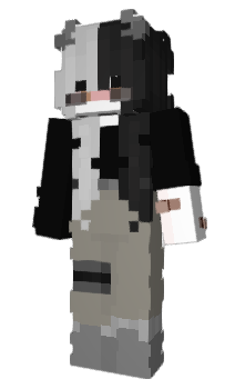 Minecraft skin Sr_zt