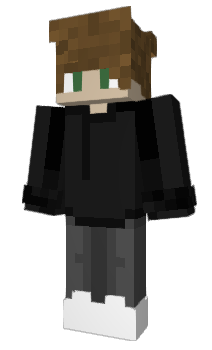 Minecraft skin hipixels