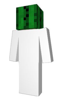 Minecraft skin Samarra