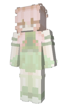 Minecraft skin petbud