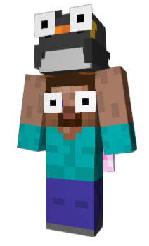 Minecraft skin P4W