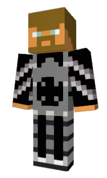Minecraft skin Rigit