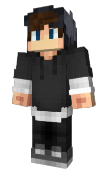 Minecraft skin 20PM