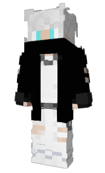 Minecraft скін по ніку Flycc