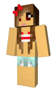 Minecraft skin DMGD