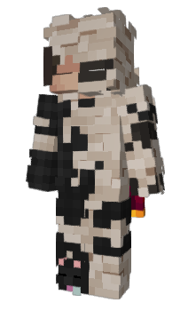 Minecraft skin Ronfo