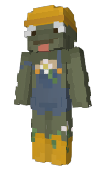 Minecraft skin wnas