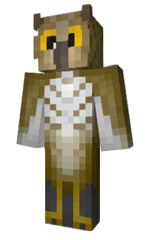 Minecraft skin CZ8
