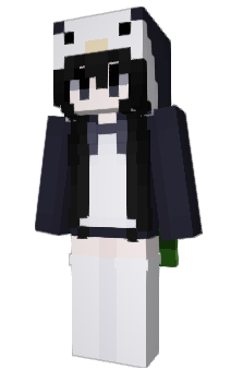 Minecraft skin zfd_