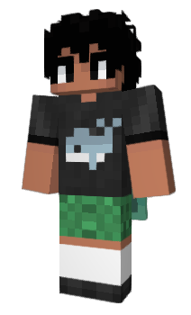 Minecraft skin PajeLindoDemaize