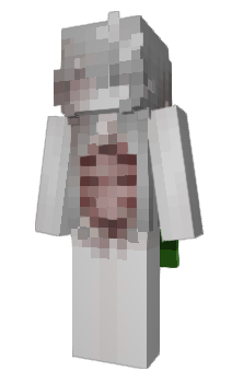 Minecraft skin wiabo