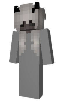 Minecraft skin clario