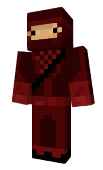 Minecraft skin Petin