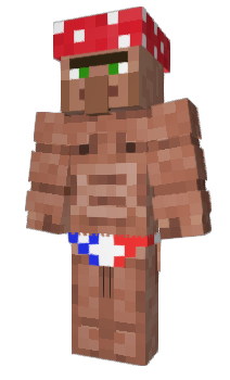 Minecraft skin rapato