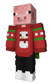 Minecraft skin Piwg