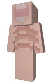 Minecraft skin Rolno