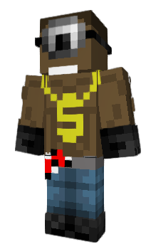 Minecraft skin RWally