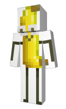 Minecraft skin DJCD