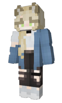 Minecraft skin fbfr