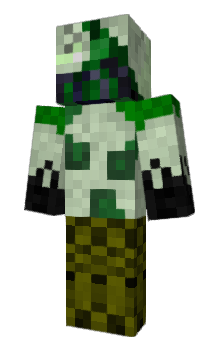 Minecraft skin adwqes