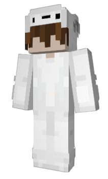 Minecraft skin mi1t1