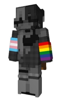 Minecraft skin DSWI