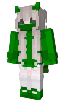 Minecraft skin g011