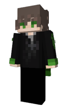 Minecraft skin 507