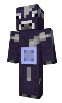 Minecraft skin Conundrum