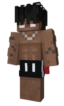 Minecraft skin panicha