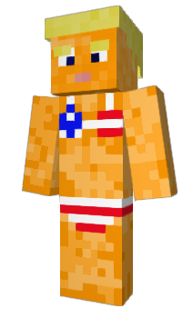 Minecraft skin texm