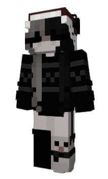 Minecraft skin Ender_Ale