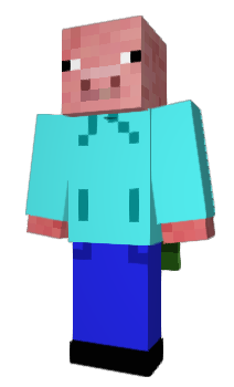 Minecraft skin salmonk5