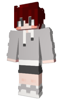 Minecraft skin HOPAM