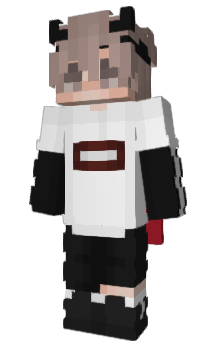 Minecraft skin 2706