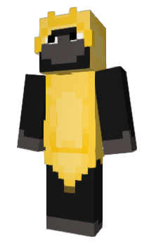 Minecraft skin 5077