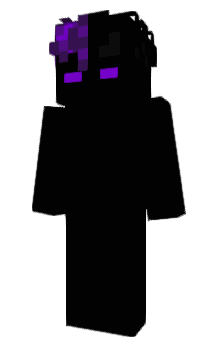 Minecraft skin settngs