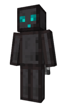Minecraft skin 9PZM11