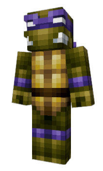 Minecraft skin Coach_