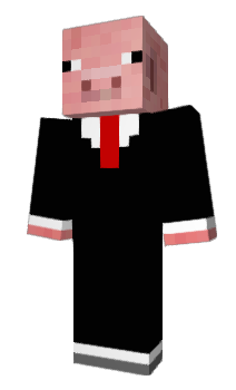 Minecraft skin PIGJMH