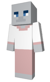 Minecraft skin Sploor