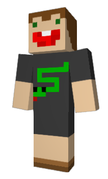 Minecraft skin 1v11